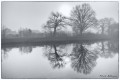 Brume sur l'étang de St Porchaire