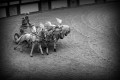 Le Puy du Fou