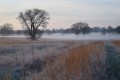 Matin d'hiver