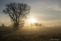Et la lumière fut.
