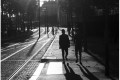 ombres