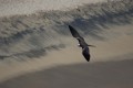 250116mexique-105