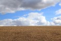 solitude