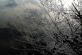 solarisation