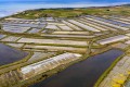L'ILES DE RE