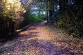 sentier