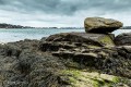 Golfe du Morbihan
