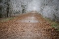 stephane-p-terredhiver-tele