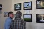 Expositions ...