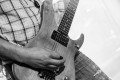 mudweiser14_jacques_p