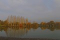 p1080168.jpgret