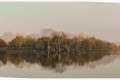 pecalis12_jacques_p