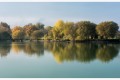 pecalis20_jacques_p