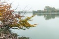 pescalis_thierryt_03