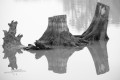 pescalis_thierryt_04