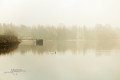 pescalis_thierryt_21