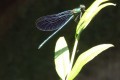 dscf0688