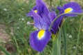 dscf0967