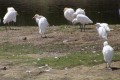 dscf1082
