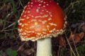 dscf2204