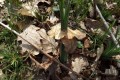 dscf7055