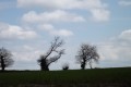 dscf7784