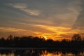 img_1617