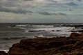 img_1782