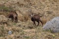 img_2373