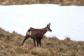 img_2385