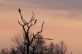 img_3907