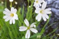 img_20220422_214653_085
