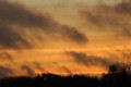 Un matin