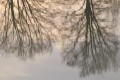 Pescalis 01/2020 reflets