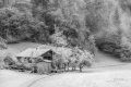Paysage d'hiver