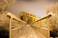 L'abattoir sous la neige