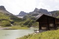 Paysage verdoyant