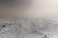 Il reste encore de l'or blanc ...