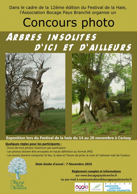 Affiche concours photo