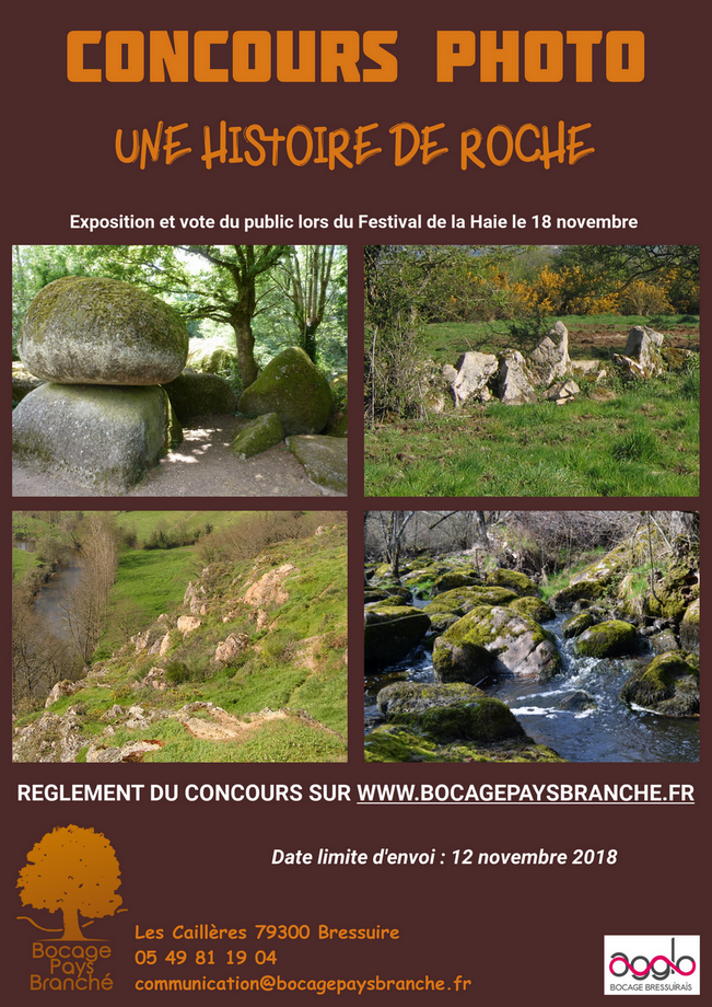 20181112 Affiche Concours photo f47a7