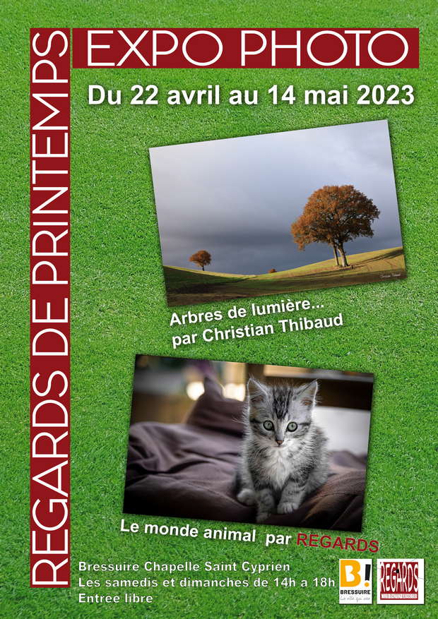 projet_affiche_st_cyprien_2023-041_fddf8
